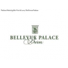 Hotel Bellevue Palace